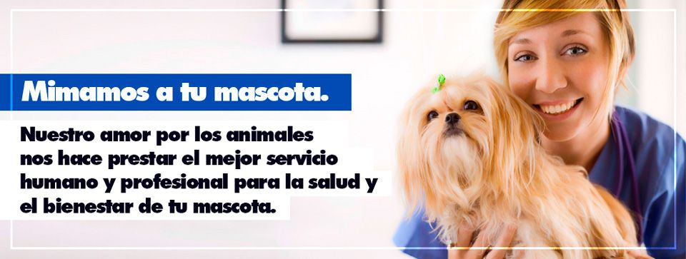 Clínica Veterinaria Avenida de España banner 1